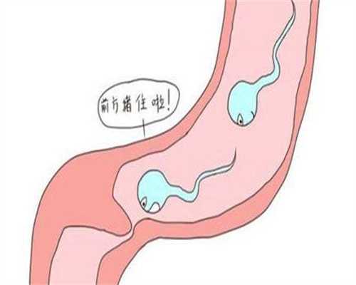 精子活力低不育